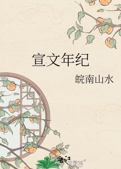 宣文年纪