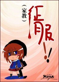 (家教同人/BG)征服!!