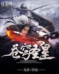 《苍穹圣皇》