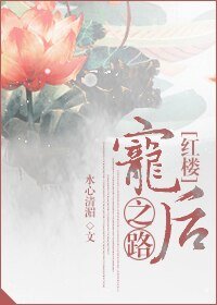 (BG/紅樓同人)寵後之路.
