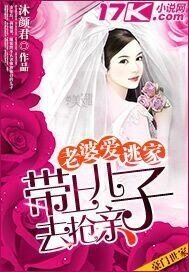 老婆唉逃家:帶上兒子去搶瞒