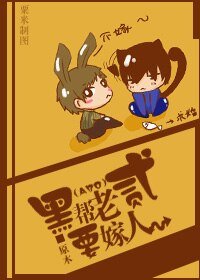 南家小貳要嫁人/黑幫老貳要嫁人